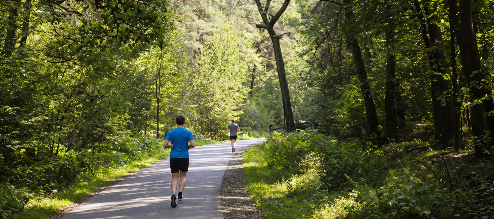 Leśna Pętla Królewska